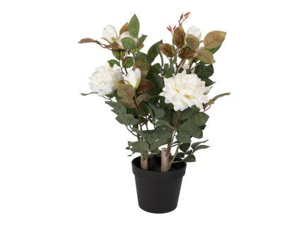 UMELÁ RUŽA V KVETINÁČI 55CM CLAYRE EEF (6PL0413W)